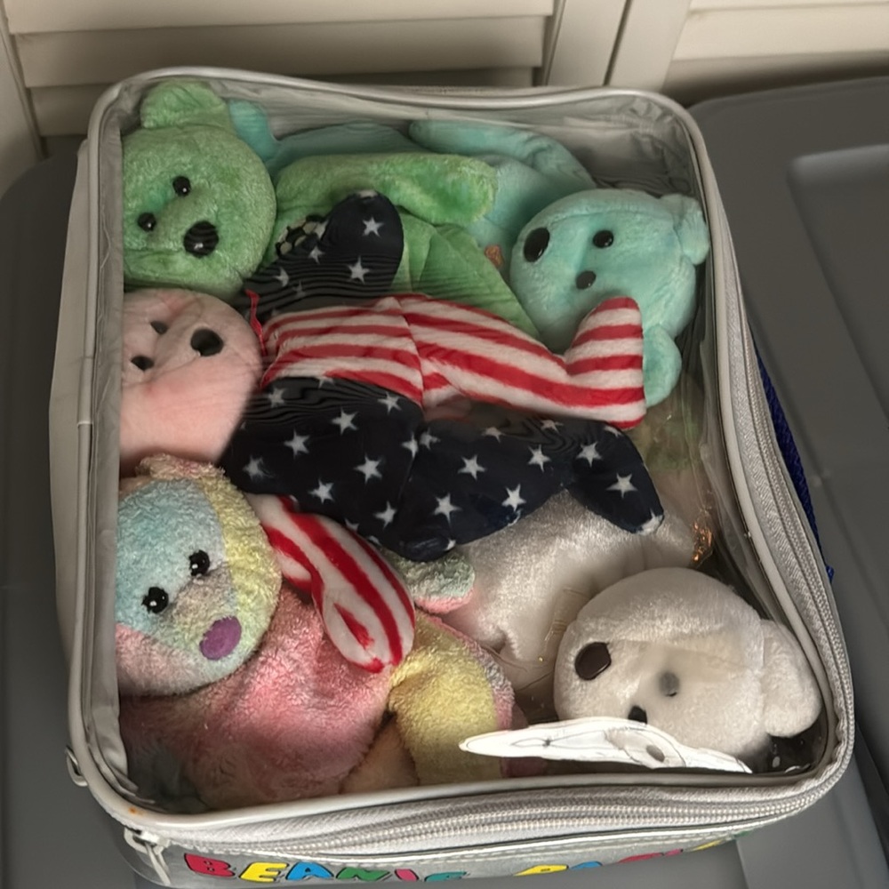 Beanie baby collection